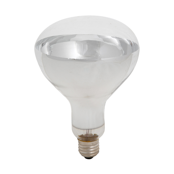 BULB INFRA RED 275W ES