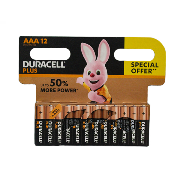 13934-DURACELL-POWER-PLUS-AAAX12