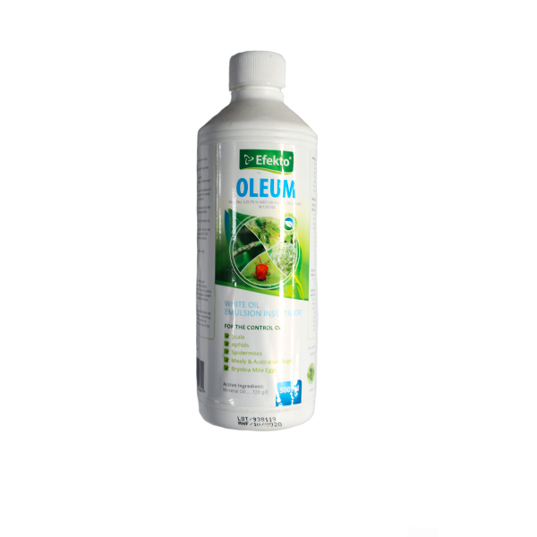 68519-EFEKTO-OLEUM-500ML