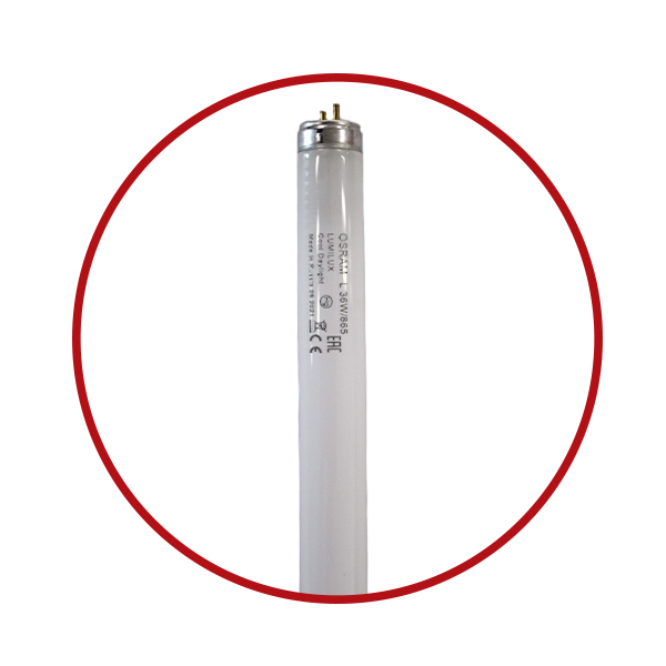 Fluorescent tubes shop 4ft