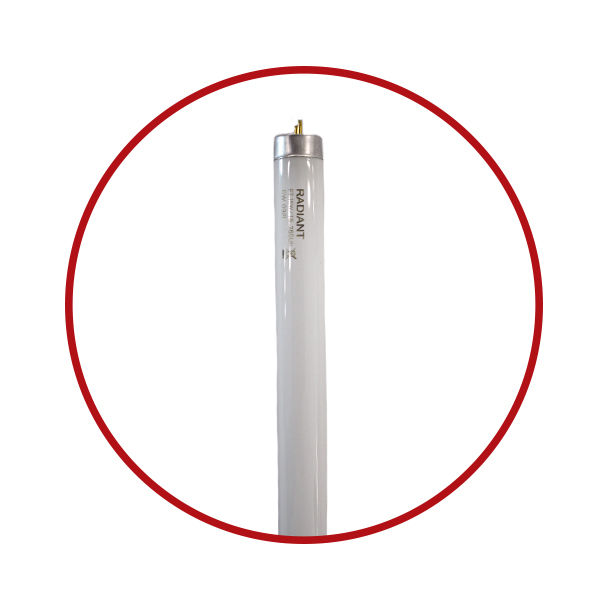RADIANT FLUORESCENT TUBE 15W 450MM COOLWHITE BRIGHTS Hardware Shop Online
