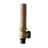 17447-SAFETY-TEMP.-PRES.-VALVE-100KPA-PB1.13-MXC