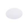 36543_Bright Star LED Ceiling Light with Patterned Polycarbonate Cover