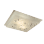 CEILING LIGHT SQUARE MIRROR LEAVE DESIGN