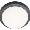 85678-Bright-Star-12W-LED-with-Polycarbonate-Cover-&-Black-Bulkhead