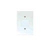 88211-LESCO-WHITE-STEEL-2-X-4-BLANK-PLATE