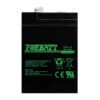 1304-Forbatt-6V-4.5Ah-Battery