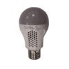 102237-EMERGENCY-LIGHT-5W-LED-ES