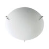 113656-Bright-Star-Frosted-Glass-Ceiling-Light-with-Metal-Clips