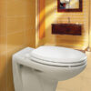 320080-Bemis-American-Innova-5000AR-Toilet-Seat