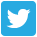 twitter-icon