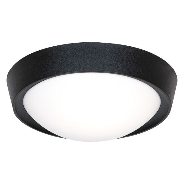 Bright Star Ceiling Light