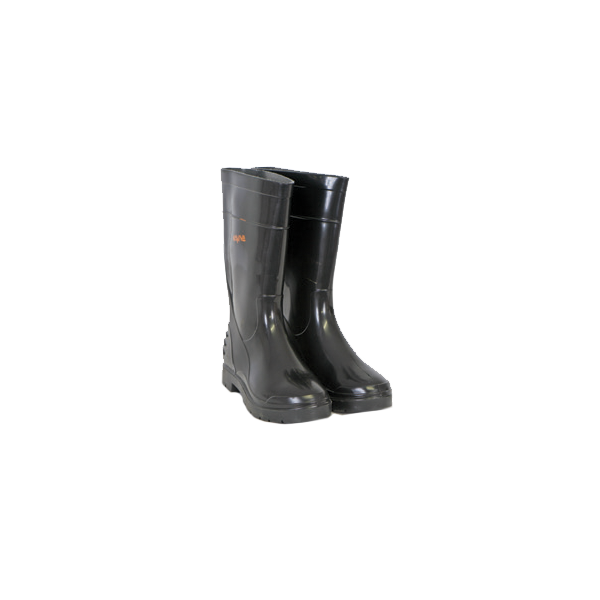 wayne gumboots price