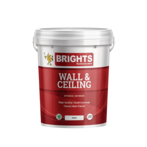 Prominent Wall And Ceiling White 20L