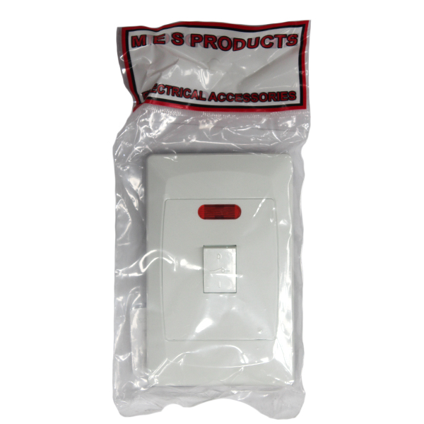 64521-MES-32A-ISOLATOR-2X4-WITH-PILOT-2-POLE