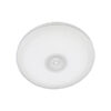99832-Bright-Star-24W-LED-Ceiling-Light-with-Metal-Base-&-White
