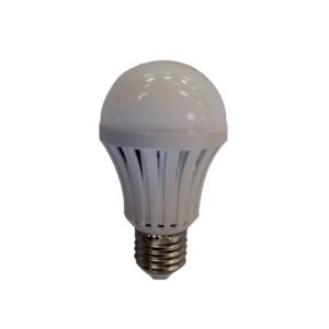 Bright Star Emergency Light 5W LED ES Cool White