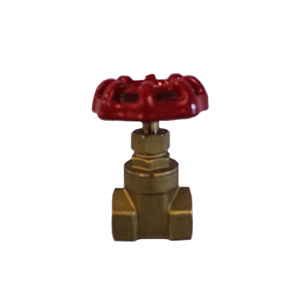 11046788-GATE-VALVE-BRASS-FXF-1/2-INCH-(SPLASH)
